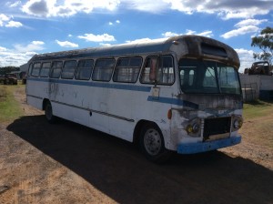 Bedford Bus