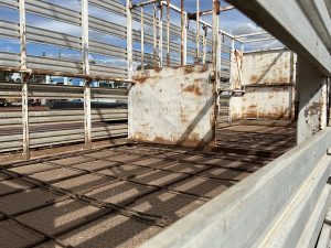 Dog Trailer 22ft with Stock Crate & Side Load